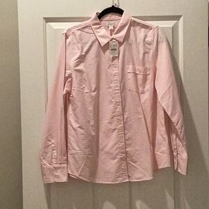 JCrew Factory pink and white stripped Oxford button down